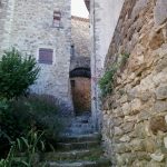 activités de la région
