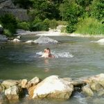 activités de la région