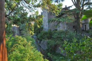 le ruisseau le Leyne