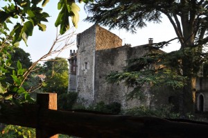 vue sur le château de Leyne
