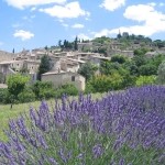 activités de la région
