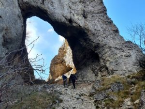 le trou du furet