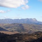 vue sur la forêt de Saou