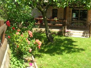 jardin du gîte