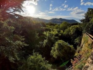 Aperçu du mur de renfort