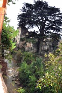 vue sur le ruisseau le Leyne