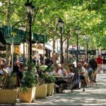 les activités de la région