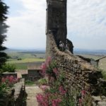 les activités de la région
