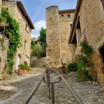 les activités de la région
