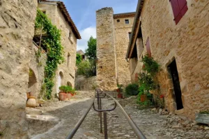 les activités de la région