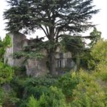 Au fil de Leyne
